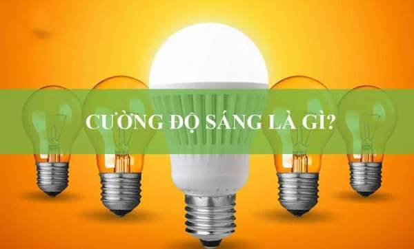 Cường độ ánh sáng là gì? Đơn vị đo ánh sáng là gì?